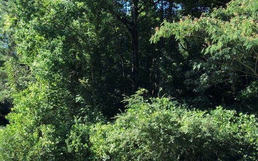 Greenville Alabama coastal real estate listing photo 1