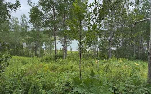Lubec Maine coastal real estate listing photo 1