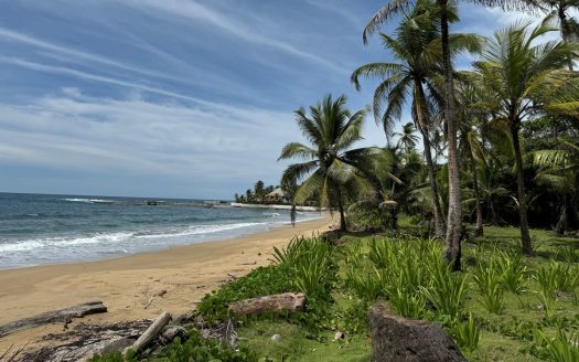 Palenque Panama coastal real estate listing photo 1
