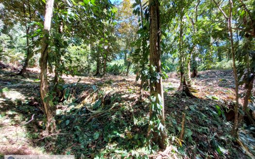 Bocas del Toro Panama coastal real estate listing photo 1