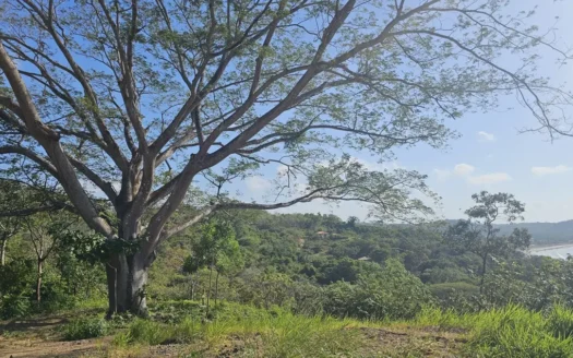 Los Balsos Residences in Playa Venao Lote #10