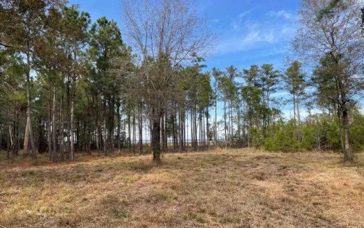 Waterfront Lot for Sale Beaufort NC