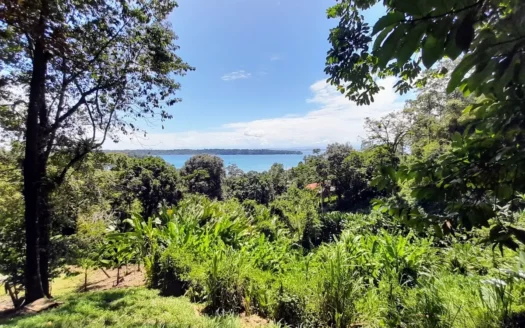 Titled Land for Sale in Banana Hill, Bastimentos Island