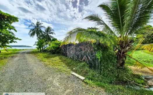 Titled Lot for Sale Near Bocas Town – Isla Colón Real Estate