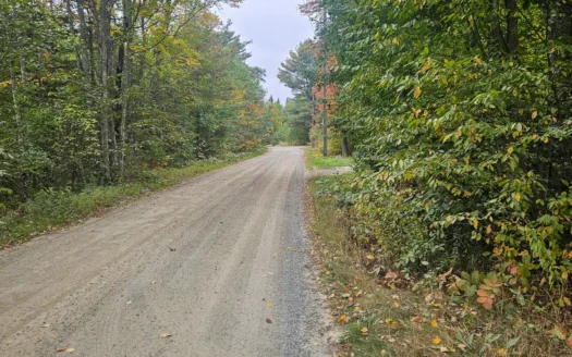 Buildable Lakefront Lot Near the Coast