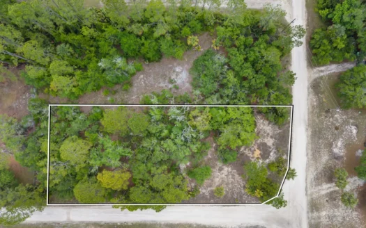 Vacant Lot For Sale – Suwannee Florida