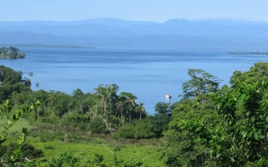 60-Acre Organic Farm for Sale on Bastimentos, Bocas del Toro