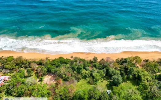 Titled Bluff Beach Lot for Sale, Bocas del Toro, Panama