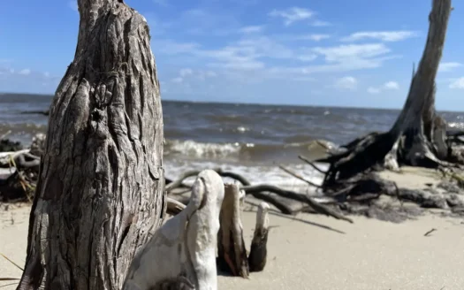 Waterfront Homesite for Sale Beaufort, NC