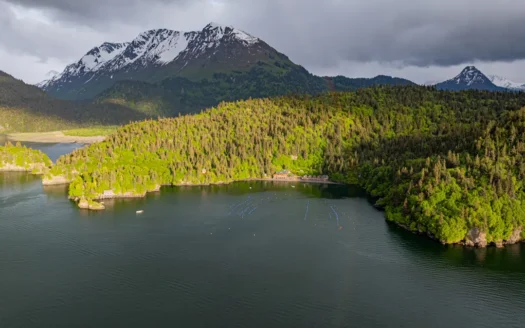 Cove Peaks Lodge – Remote Alaska Lodge for Sale in Halibut Cove