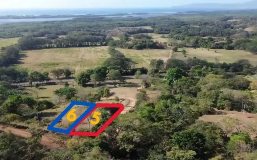 Luxury Eco-Development with Ocean-View Lot 5 + 6