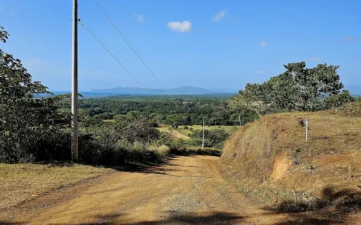 Luxury Eco-Development with Ocean-View | Lot 12