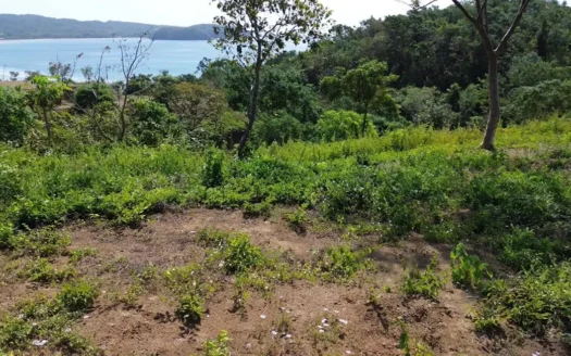 Los Balsos Residences in Playa Venao  Lote #2