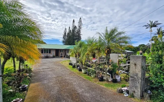 4BR 2BA Hawaii home w/ocean views, gardens, & fruit trees