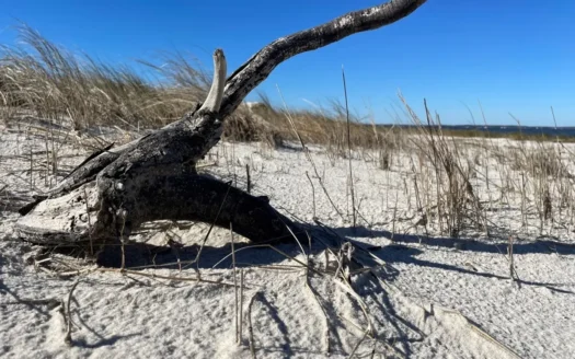 Waterfront Lot for Sale Beaufort NC