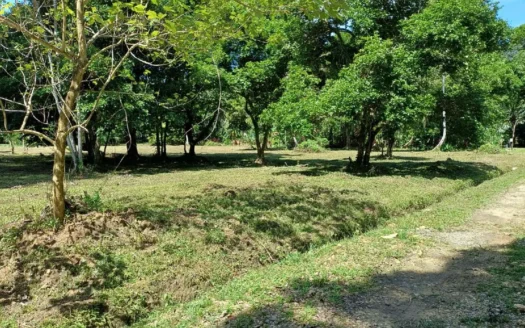 Titled Land for Sale Near Bocas Town – Road & Sea Access Lots