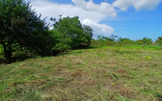 2000 m2 Land for Sale in San José, Panama 5 Minutes from Coronado