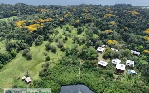 3.11-Acre Waterfront Land for Sale – Isla Solarte, Bocas del Toro