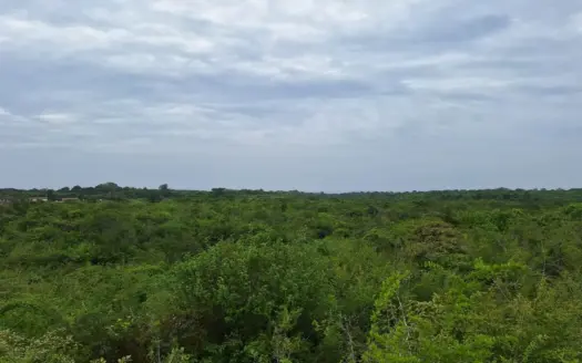 Development Lot Near the Beach Piedras Gordas | Near Playa Blanca