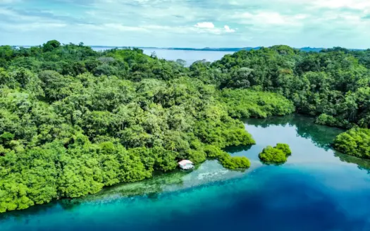Elevated Waterfront Property with Stunning Coral Reef Coastline