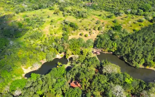 150-Hectare Investment Land for Sale in La Chorrera