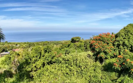 Kona Hawaii Land: 5.28 Acres, Ocean Views & Home Plans