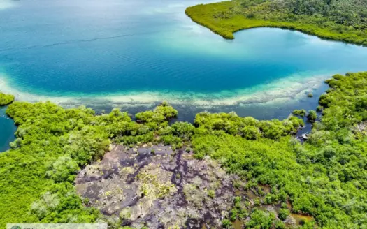 Waterfront Land for Sale – Near Starfish Beach, Bocas del Toro