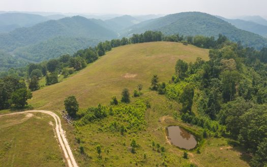 Eidson Tennessee horse real estate listing photo 1