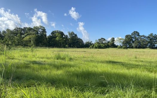 Maurice Louisiana horse real estate listing photo 1
