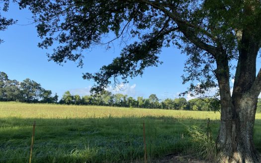 Maurice Louisiana horse real estate listing photo 1