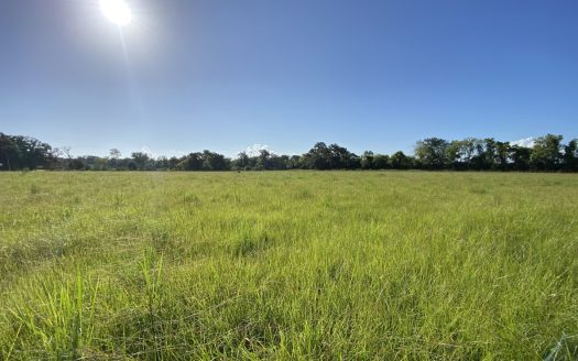 Maurice Louisiana horse real estate listing photo 1
