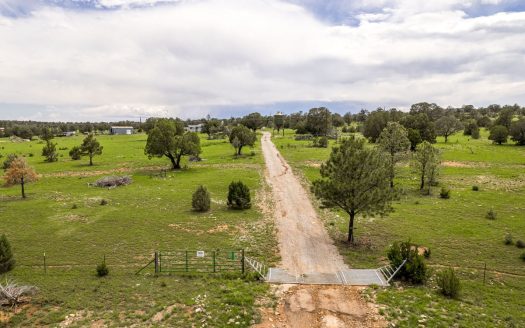 Weed New Mexico horse real estate listing photo 1