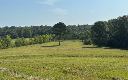 Brantley Alabama horse real estate listing photo 1