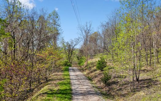 Tazewell Tennessee horse real estate listing photo 1