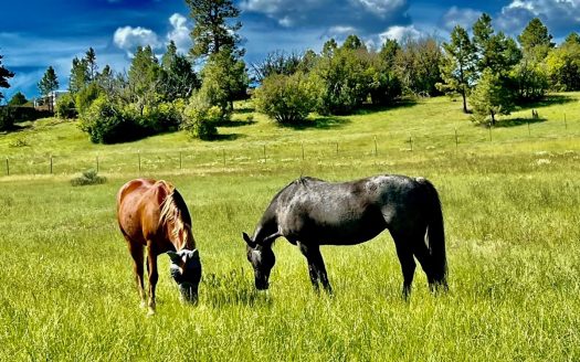 Chama New Mexico horse real estate listing photo 1