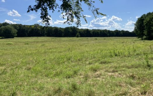 Howe Oklahoma horse real estate listing photo 1