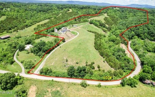 Greeneville Tennessee horse real estate listing photo 1