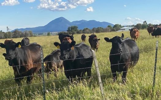 Lewis Colorado horse real estate listing photo 1