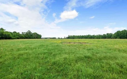 Bogata Texas horse real estate listing photo 1