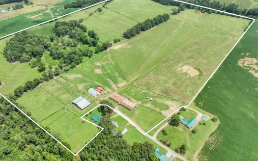 Lawrenceburg Tennessee horse real estate listing photo 1