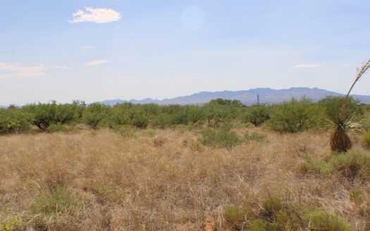 Saint David Arizona horse real estate listing photo 1