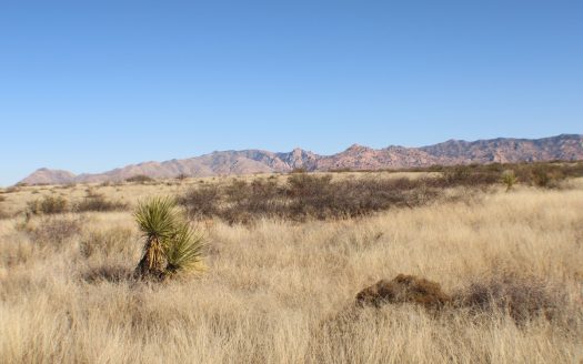 Saint David Arizona horse real estate listing photo 1