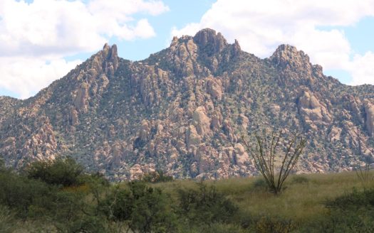 Saint David Arizona horse real estate listing photo 1