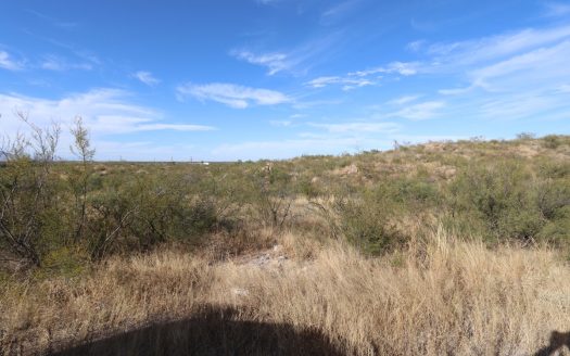 Huachuca City Arizona horse real estate listing photo 1
