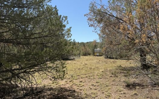 Seligman Arizona horse real estate listing photo 1