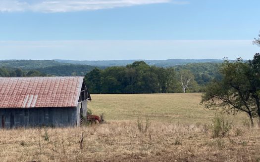 Ava Missouri horse real estate listing photo 1