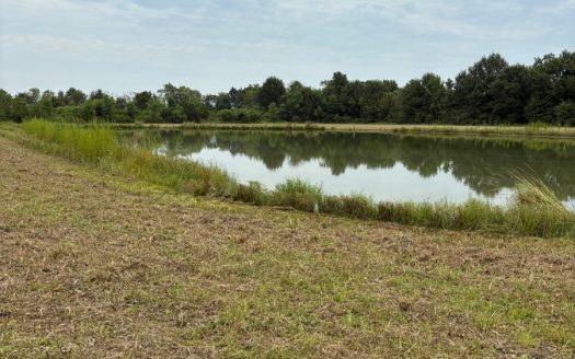 Rayne Louisiana horse real estate listing photo 1