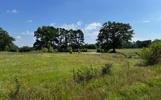 Daingerfield Texas horse real estate listing photo 1