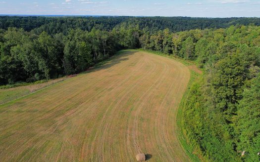 Liberty Kentucky horse real estate listing photo 1