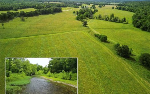 West Plains Missouri horse real estate listing photo 1